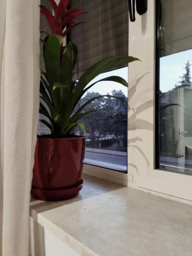 Tanners' Bridge Apartments Τίρανα Εξωτερικό φωτογραφία